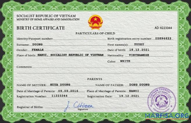 Downloadable Vietnam birth certificate PSD template